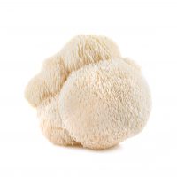 Mushroom Capsules For Immune System | Buy Mushroom Capsule Online | Best Lions Mane Mushroom Capsule | Organic Reishi Mushroom Capsule | Lions Mane Mushroom Capsule UK