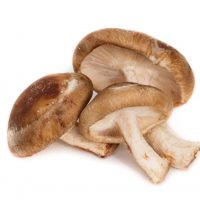 Shiitake