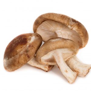 Shiitake